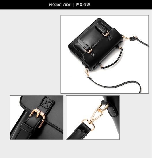 Classic Lady Handbag Women Bag Hot Sell Lady Handbag Popular Handbags Designer Handbag (WDL0171)