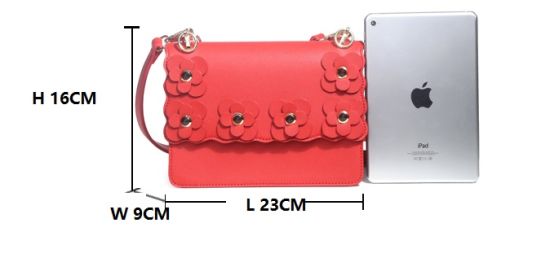 Flower Lady Handbag Fashion Nice Design Classic Small Bag (WDL0127)