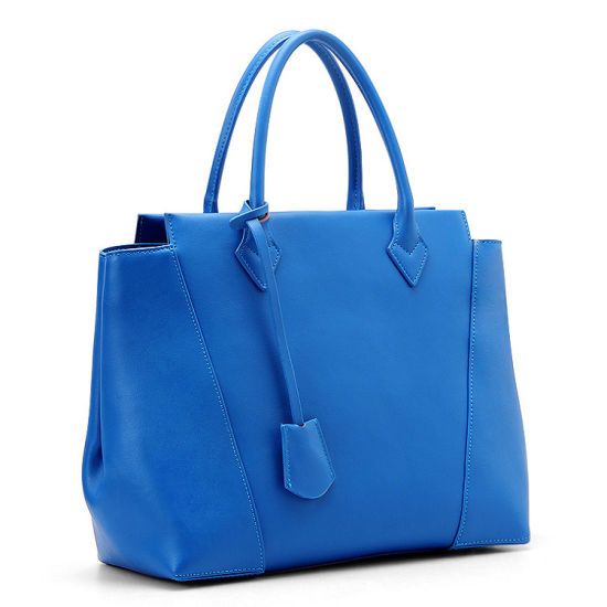 Classic Women Handbag PU Leather Ladies Handbags Brand Tote (WDL0730)
