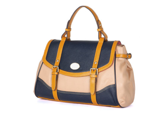 Classic Satchel Women Handbags PU Leather Handbag Lady Bag (WDL0726)