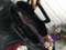 High Quality Hot Sell Casual Bag Promotion Lady Handbag (WDL0083)