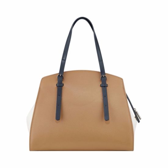 Handbag Lady Handbags Hand Bag Leather Handbags Fashion Handbag Designer Handbag Designer Lady Handbag Ladies Bag Tote Bag Ladies Handbag (WDL014653)