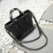 Handbag Lady Handbags Fashion Handbag Ladies Handbag Leather Handbags Designer Handbags Lady Handbags (WDL01393)