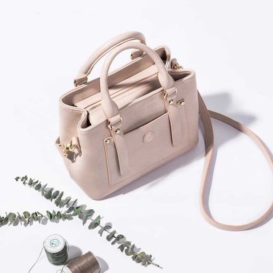 Lady Handbags Designer Handbag Fashion Handbag Tote Bag Ladies Handbag Ladies Bag Hand Bags (WDL014611)