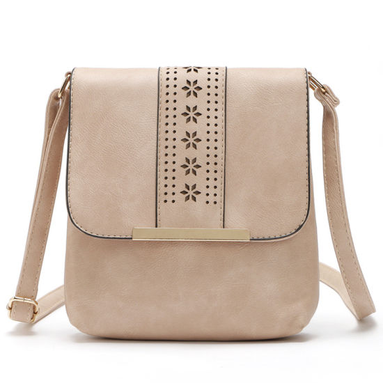 New Arrive Women Messenger Bags Designer Handbags Shoulder Bag (WDL0968)