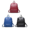 Vintage Casual Travel Lady PU Leather Backpack (WDL0929)