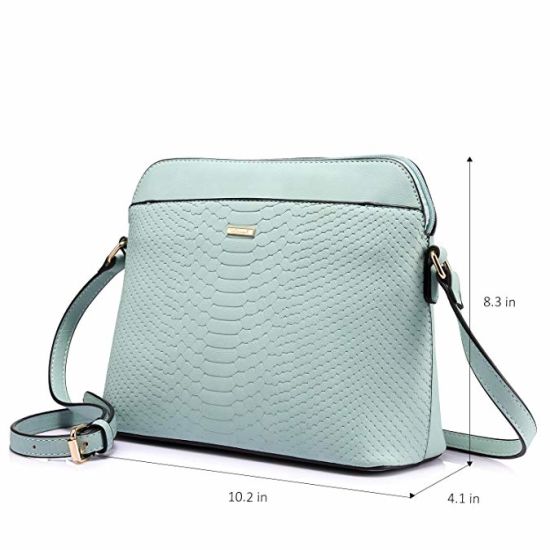 Crossbody Handbag Designer Handbag Ladies Handbag Women Handbag Fashion Handbags (WDL01446)