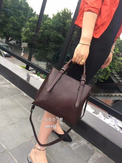 Lady Handbag Female Handbags PU Leather Handbag Fashionable Handbag Popular Lady Handbag Fashion Bag Ladies Bag (WDL01155)